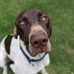 Donna Needham - @cj_the_eh - Instagram