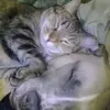 Donna Needham - @donna.needham0 - TikTok