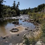 Donna Neff - @neff1450 - Instagram