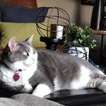Donna Neff - @donnaraeneff - Instagram