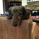 Donna Neff - @wengertneff - Instagram