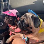 Nero E Donna - @nero_e_donna - Instagram