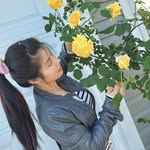 Donna Ng - @donnang68 - Instagram