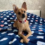 Donna Nickell - @nickell.donna - Instagram