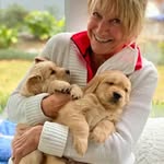 Donna Noland - @dnoland64 - Instagram