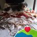 Donna Nowell-martin - Facebook