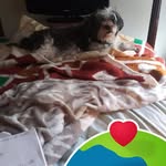 Donna Nowell-martin - @donnanowellmartin - Instagram