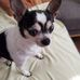 Donna Noyes - Facebook