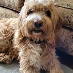 Donna Noyes - @noyesdonna - Instagram