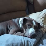 Donna Oakley - @donnajoakley - Instagram