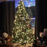 Donna Oakman-Fyfe - @dofmamad - Instagram