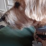 Donna Odell - @donna.odell.90260 - Instagram