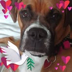 Donna Odell - Facebook