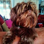 Donna O'Dell - @ardworkinmuma - Instagram