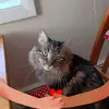 Donna Rafter Odell - @donna.rafter.odel - TikTok