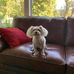 Donna Odle - Facebook