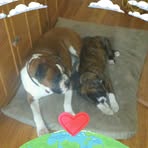 Donna Olender - Facebook