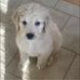 Donna Oliva - Facebook