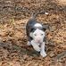 Donna Oliva - Facebook