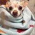 Donna Ollis - Facebook