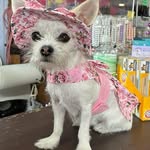 Donna Ollis - @donnaollis - Instagram