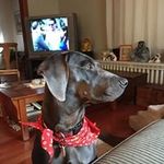 Donna J Oney - @donna.oney - Instagram