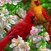 Donna Otte - Facebook
