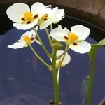 Donna Ottenhof - @donnaottenhof - Instagram