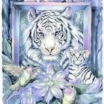 Donna Otterspeer - @donnaotterspeer - Instagram