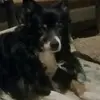 donnaotteson - @donnaotteson - TikTok