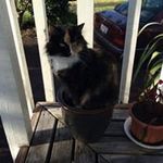 Donna Overton - @overtondonna - Instagram