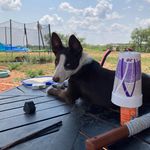 Donna Overton - @overton121861 - Instagram