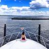 donnapalermogoetz - @donnapalermogoetz - TikTok