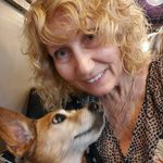 Donna Palmieri - @palmieridonna - Instagram
