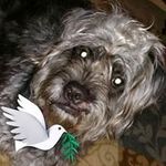 Donna Stringfellow Pannell - @stringfellowpannell - Instagram