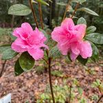 Donna Papa - @donna.papa.5 - Instagram