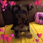 Donna Parkhurst - Facebook