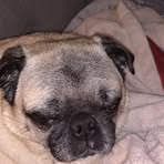 Donna Parkhurst - Facebook
