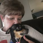 Donna Parrish Allen - @djallen_design - Instagram