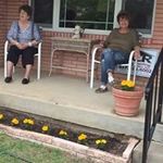 Donna Parrish Rich - @donnaparrishrich - Instagram