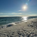 Donna Paschal - @pdonnapaschal - Instagram