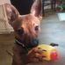 Donna Paschall - Facebook