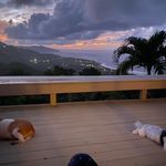 Donna Lynn Pavina - @donnapavina - Instagram