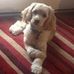 Donna Peace Williams - Facebook