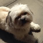 Donna Pearce - @donna.pearce2 - Instagram