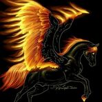Donna Pearce - Facebook