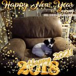Donna Pease - @donnapease202 - Instagram