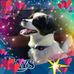 Donna Pease - Facebook