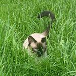 Donna Pease - @donna.pease.165 - Instagram