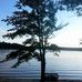 Donna Pease - Facebook